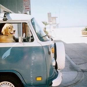 Meet your Posher, Jina